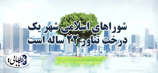 شوراهای اسلامی شهر یک درخت تناور ۲۲ساله است
