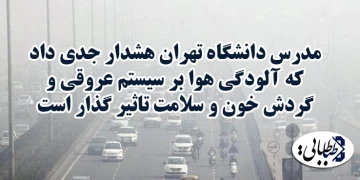 مدرس دانشگاه تهران هشدار جدی داد كه آلودگی هوا بر سیستم عروقی و گردش خون و سلامت تاثیر گذار است