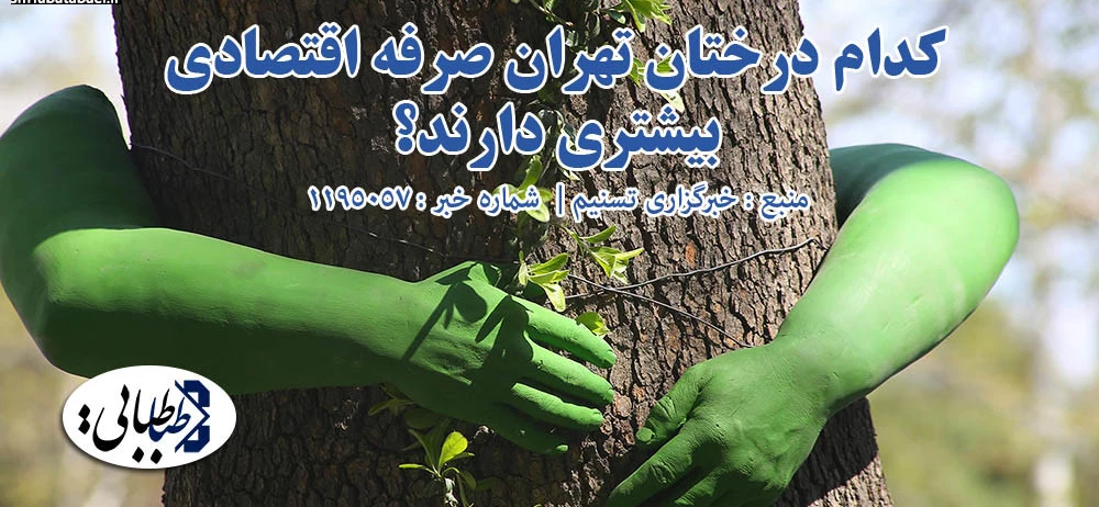 کدام درختان تهران صرفه اقتصادی بیشتری دارند؟
